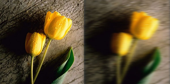 DirectionalBlur.jpg