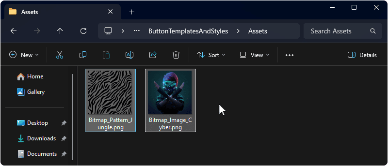 Tutorial_ButtonTemplatesAndStyles_FileExplorer_AssetsFolder.png