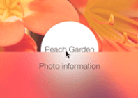 Screenshot 2025-04-01 150132.png