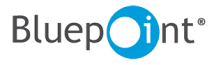 Bluepoint [Games]